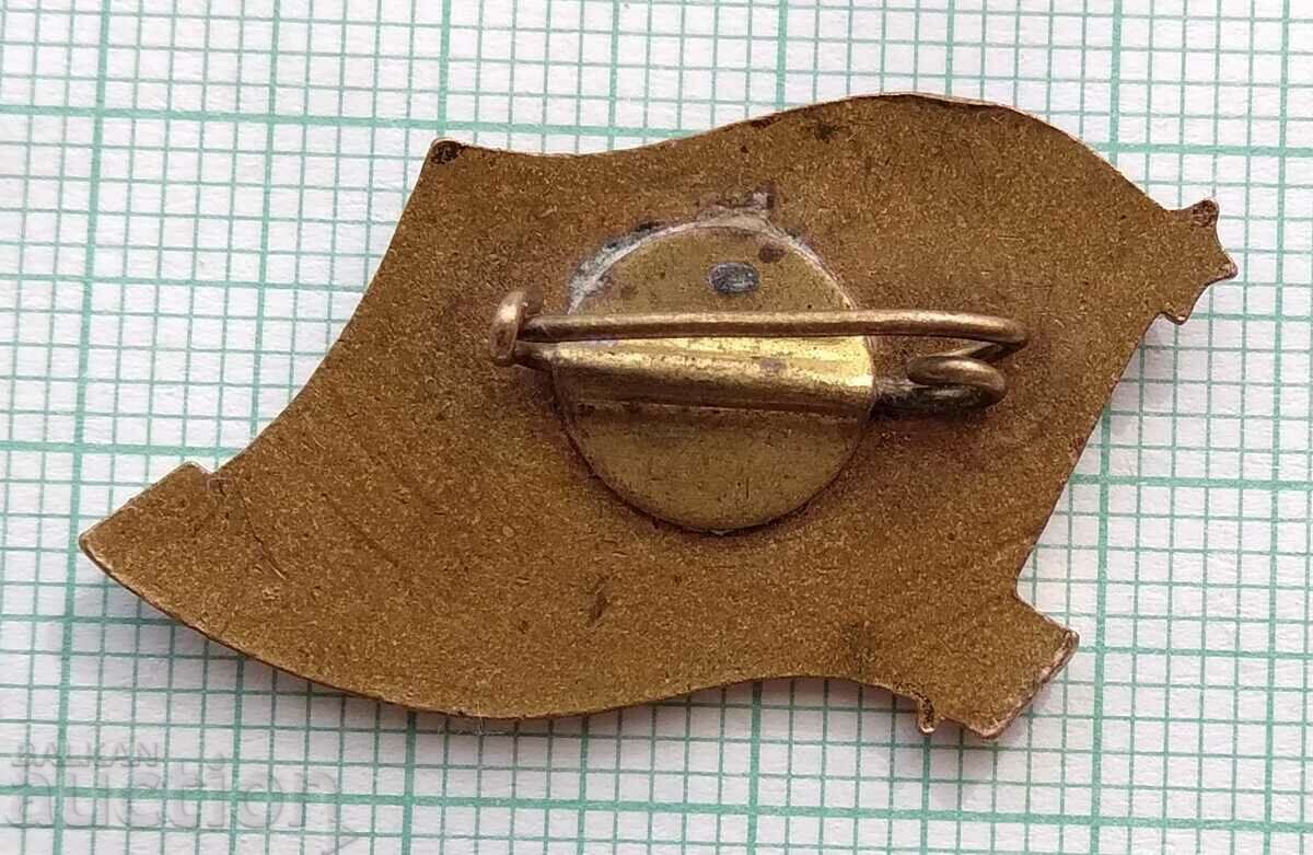 Auction 13860 - Badge - DKMS For active work - bronze enamel Auction 13860 - Badge - DKMS For active work - bronze enamel