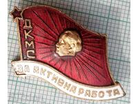 13860 - Badge - DKMS For active work - bronze enamel