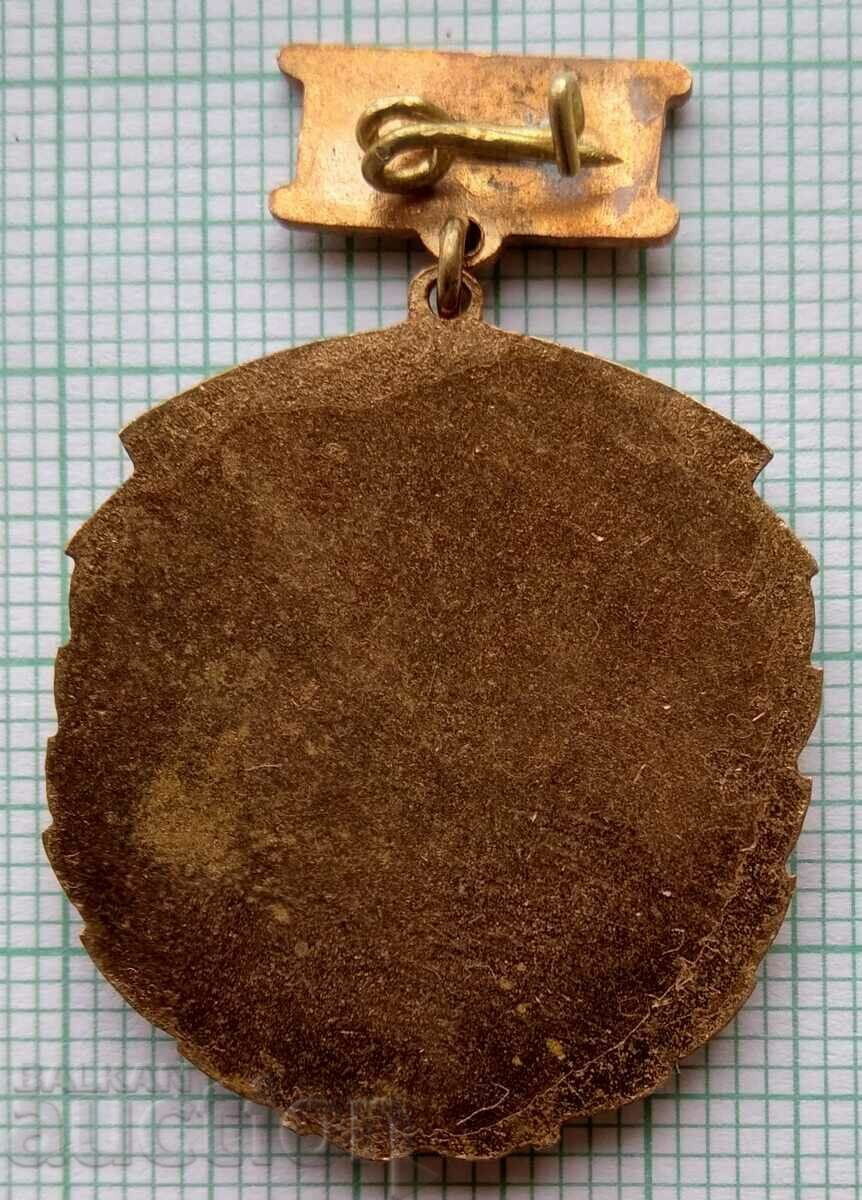 Auction 13872 Badge - For Labor Distinction GUSV - bronze enamel Auction 13872 Badge - For Labor Distinction GUSV - bronze enamel