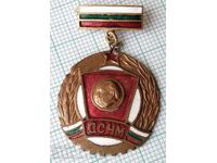 13888 - Badge DSNM - bronze enamel