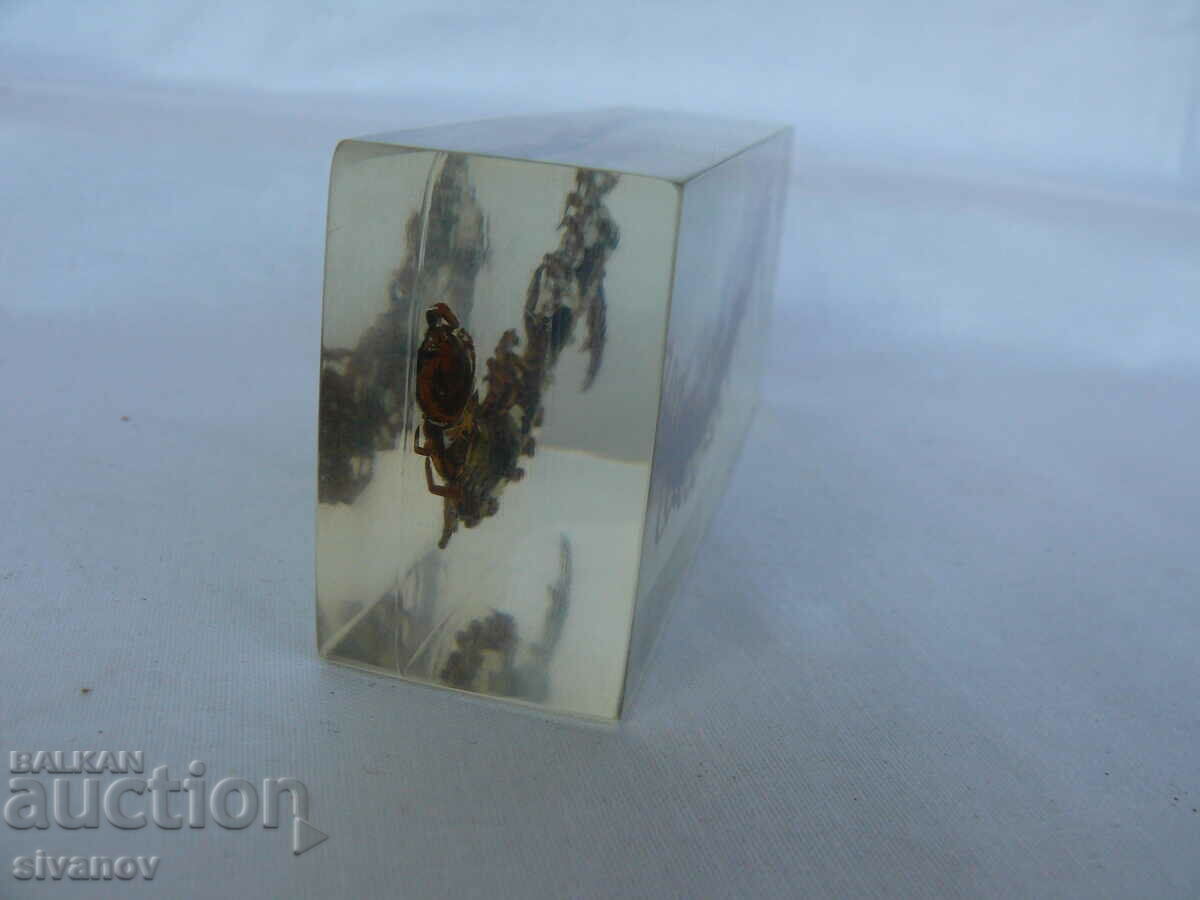 Delivery of Scolopendra stuffed insect #2115 Delivery of Scolopendra stuffed insect #2115