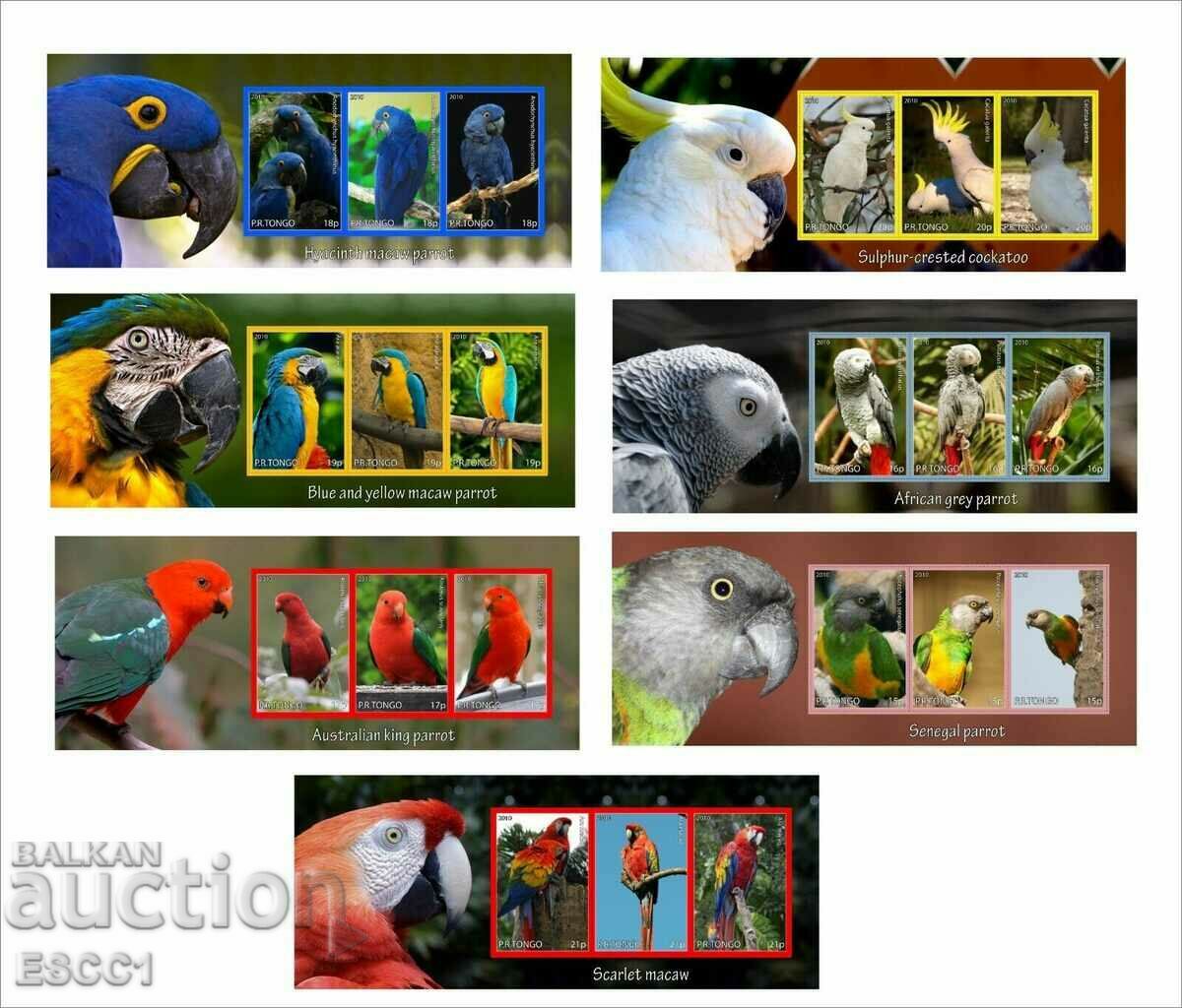 Clean Blocks Fauna Birds Parrots 2010 from Tongo