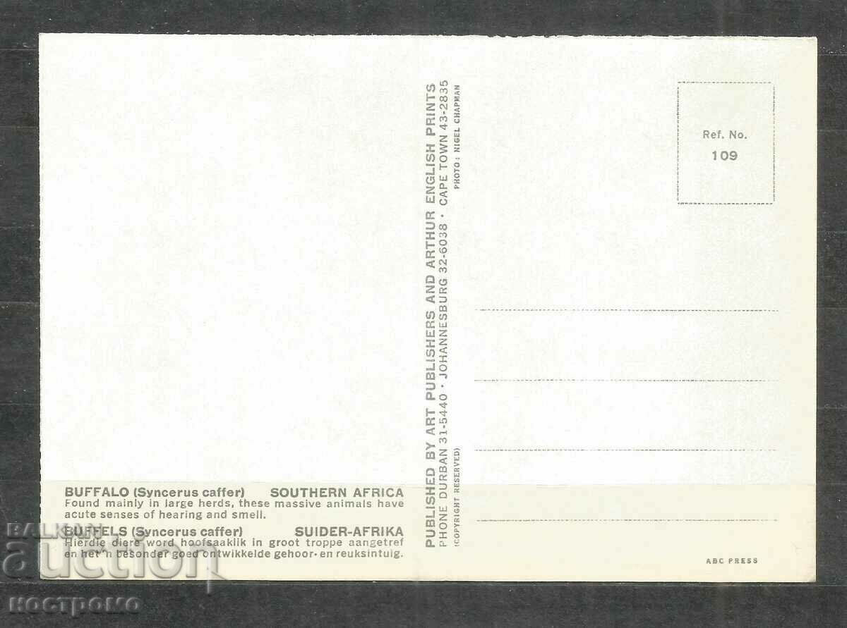 Πανίδα - ζώα - Νότια Αφρική - A 926 με τιμή 1.00 BGN | € 0.51 Πανίδα - ζώα - Νότια Αφρική - A 926 με τιμή 1.00 BGN | € 0.51