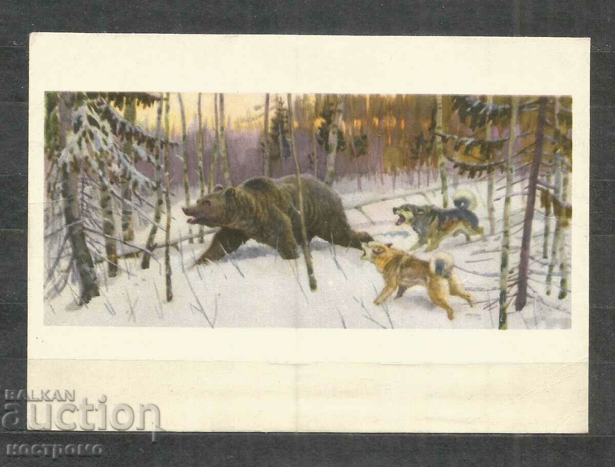 Fauna - animale - Rusia - A 928 Fauna - animale - Rusia - A 928