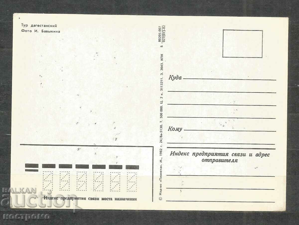 Fauna - animals - Russia - A 929 with price 1.00 BGN | € 0.51 Fauna - animals - Russia - A 929 with price 1.00 BGN | € 0.51