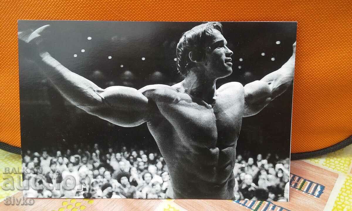 Fotografie Arnold Schwarzenegger