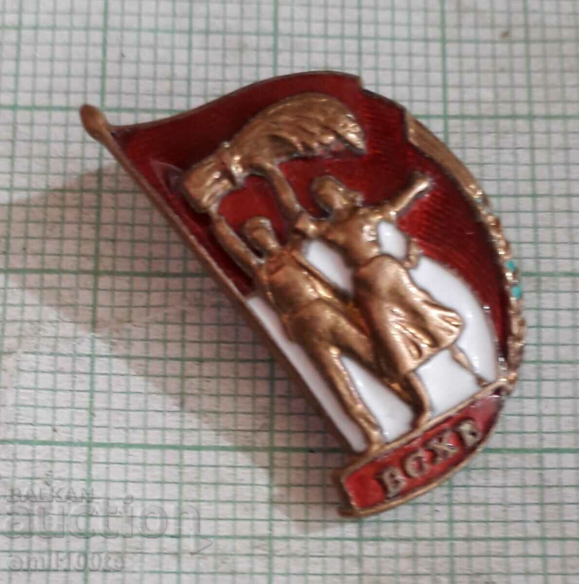 Badge - VSHV - 5 Badge - VSHV - 5