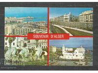 Old  Post card   ALGERIE  - A 953