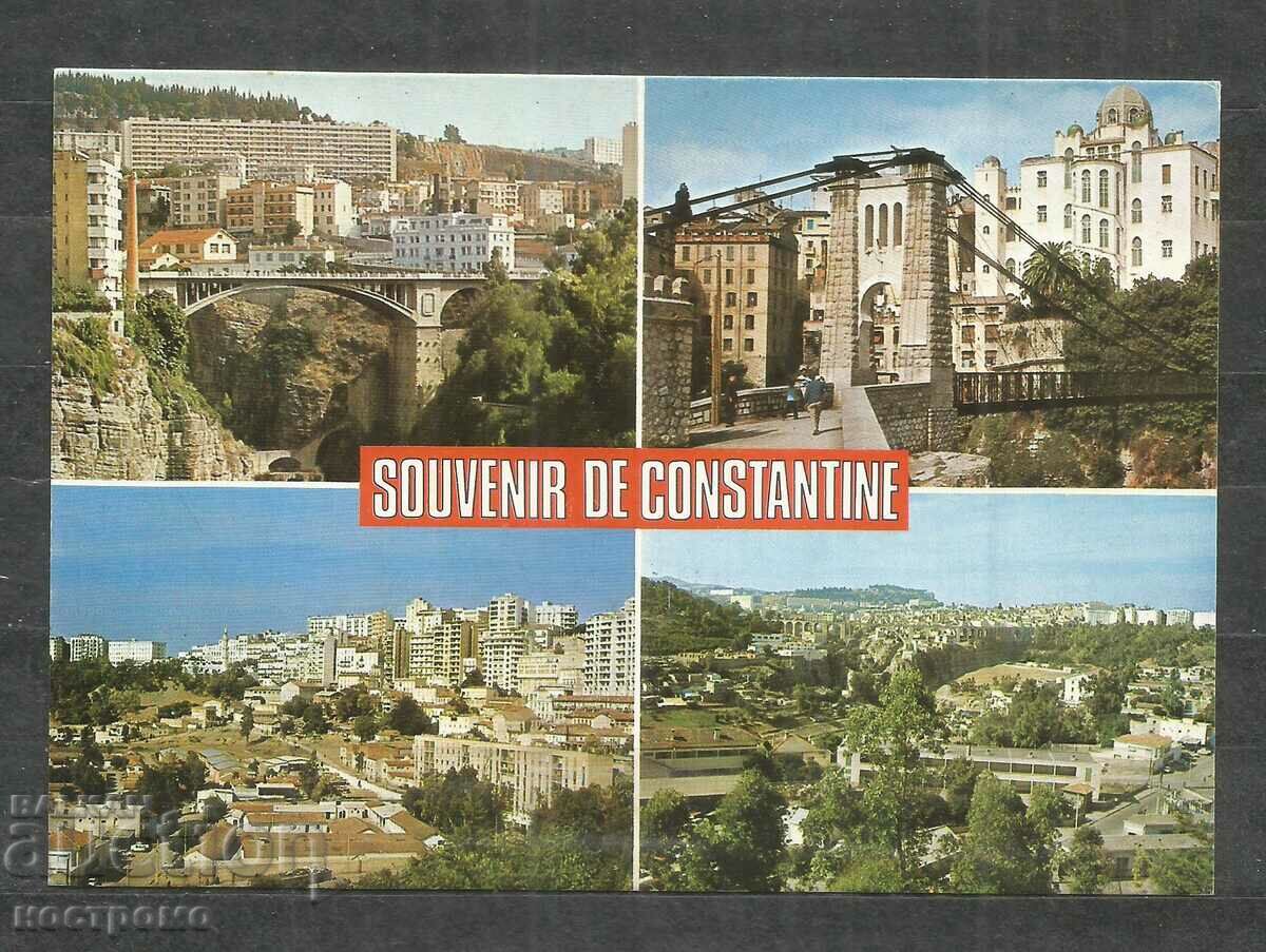 Carte poștală veche ALGERIA - A 954