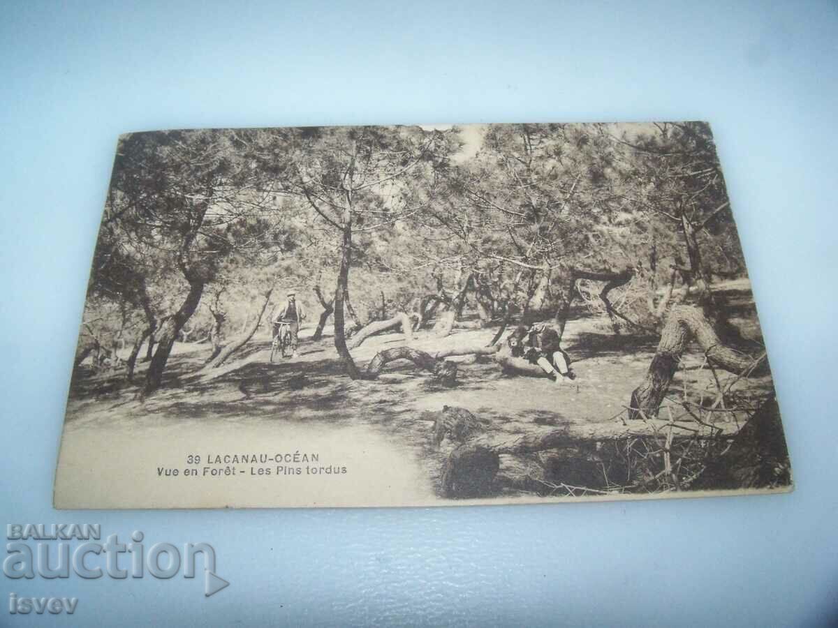 Carte poștală veche din Lacanau Franța. cu preț 10.00 BGN | € 5.11 Carte poștală veche din Lacanau Franța. cu preț 10.00 BGN | € 5.11