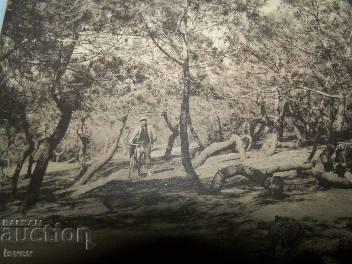 Licitație Carte poștală veche din Lacanau Franța. Licitație Carte poștală veche din Lacanau Franța.