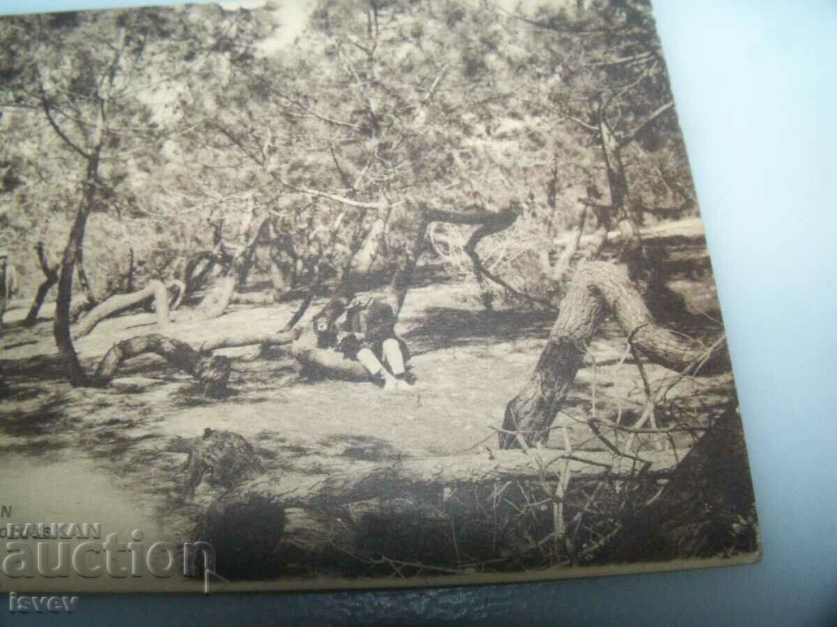 Livrarea Carte poștală veche din Lacanau Franța. Livrarea Carte poștală veche din Lacanau Franța.