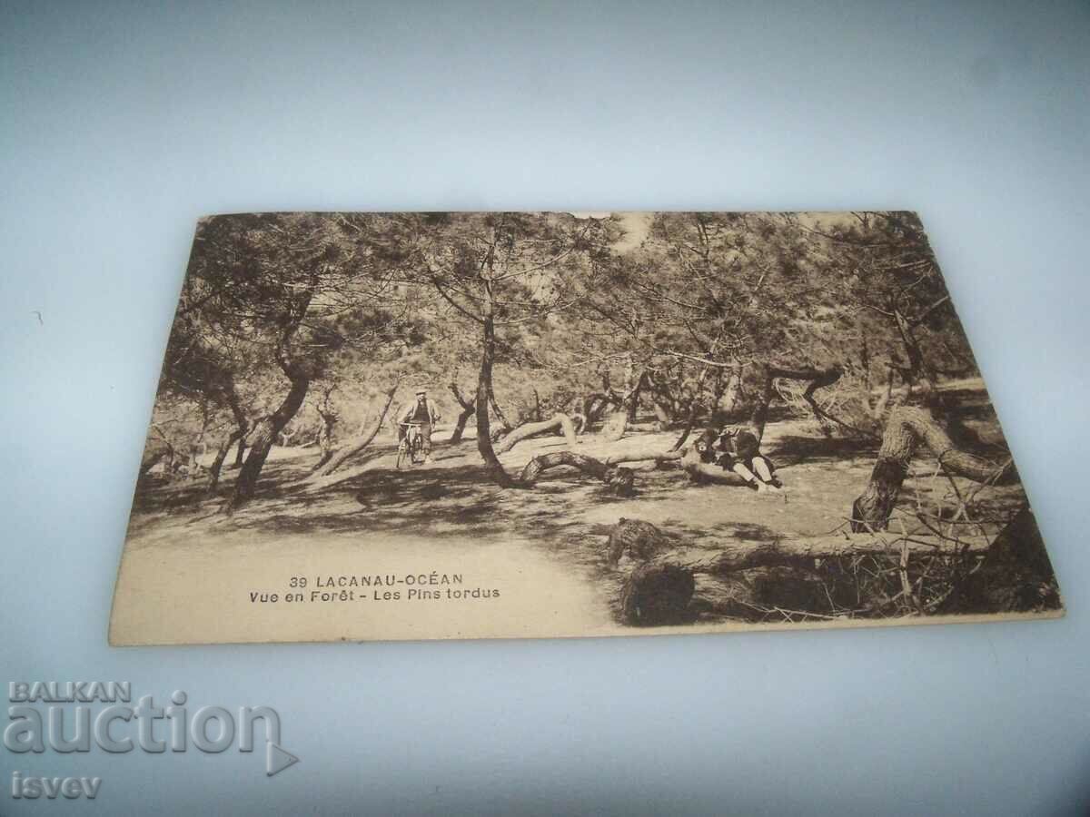 Carte poștală veche din Lacanau Franța. - 6 Carte poștală veche din Lacanau Franța. - 6