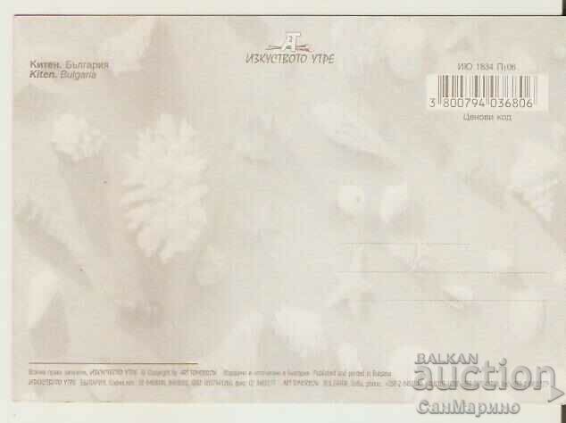 Card Bulgaria Kiten View 20* with price 0.80 BGN | € 0.41 Card Bulgaria Kiten View 20* with price 0.80 BGN | € 0.41
