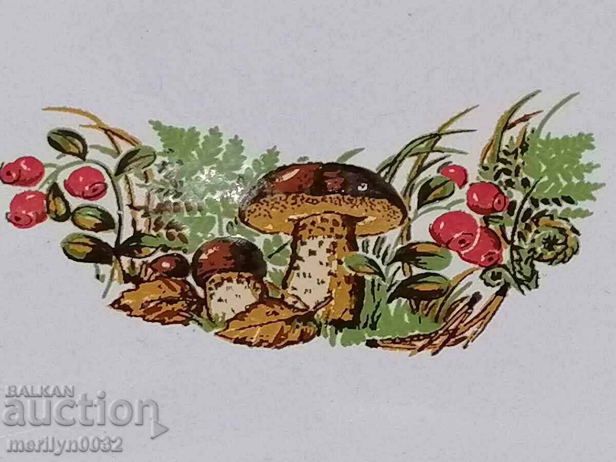 Old enamel food box, enamel dish, jug with price 49.00 BGN | € 25.05 Old enamel food box, enamel dish, jug with price 49.00 BGN | € 25.05