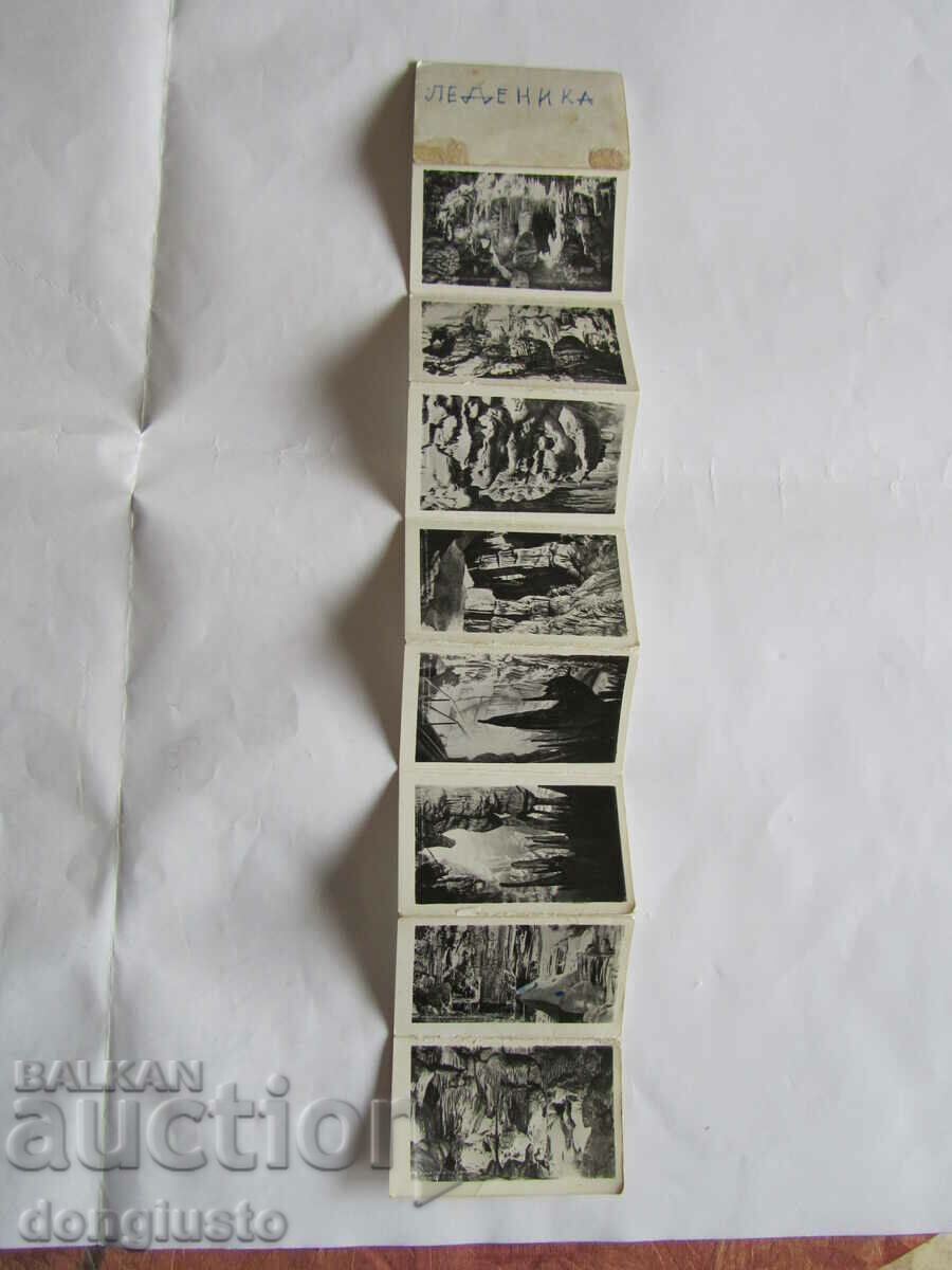 Diplyanka Ledenika Diplyanka Ledenika