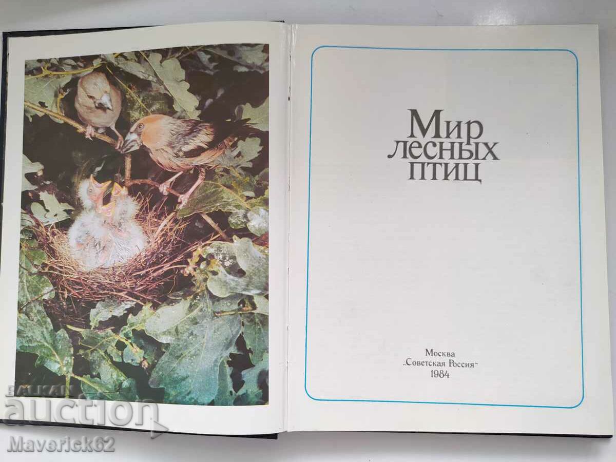 Auction Peace of the birds Russian language Auction Peace of the birds Russian language