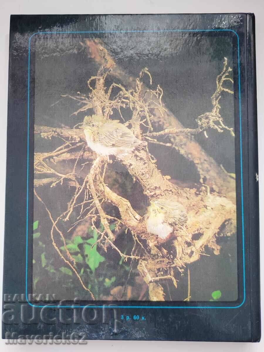 Peace of the birds Russian language - 7 Peace of the birds Russian language - 7