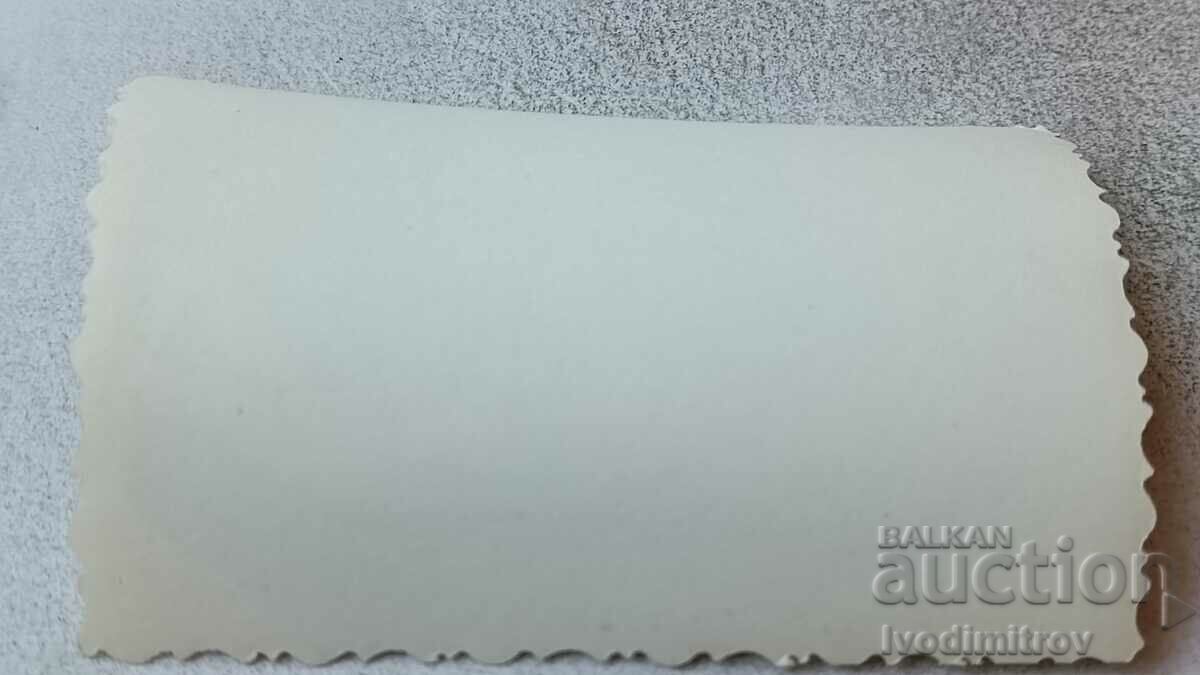 Photo Young men and a young woman in a swimsuit on a roof with price 1.65 BGN | € 0.84 Photo Young men and a young woman in a swimsuit on a roof with price 1.65 BGN | € 0.84