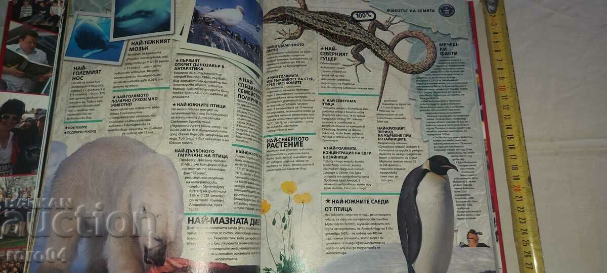 Livrarea RECORDUL GUINESS