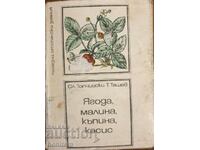 Φράουλα, βατόμουρο, βατόμουρο, φραγκοστάφυλο - Slavko Topchiyski, Tasho Tashev