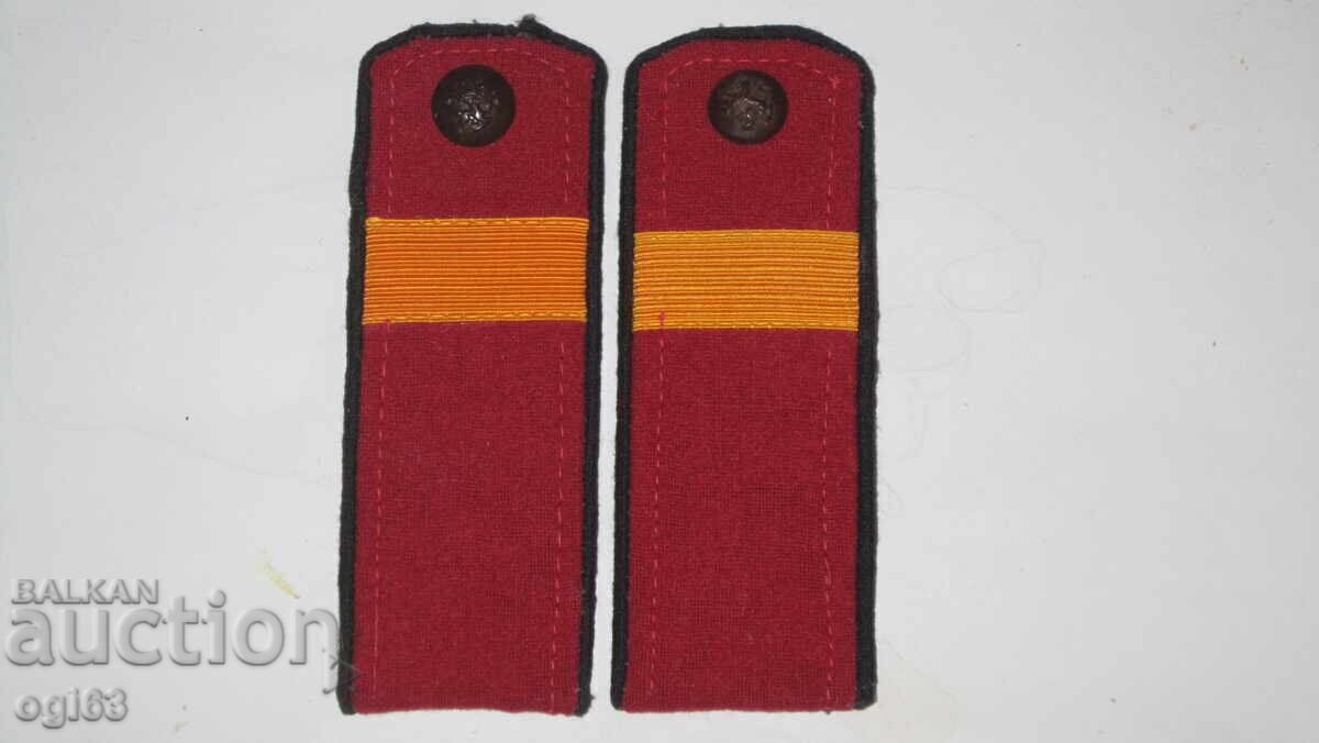 Royal epaulettes 99 Royal epaulettes 99