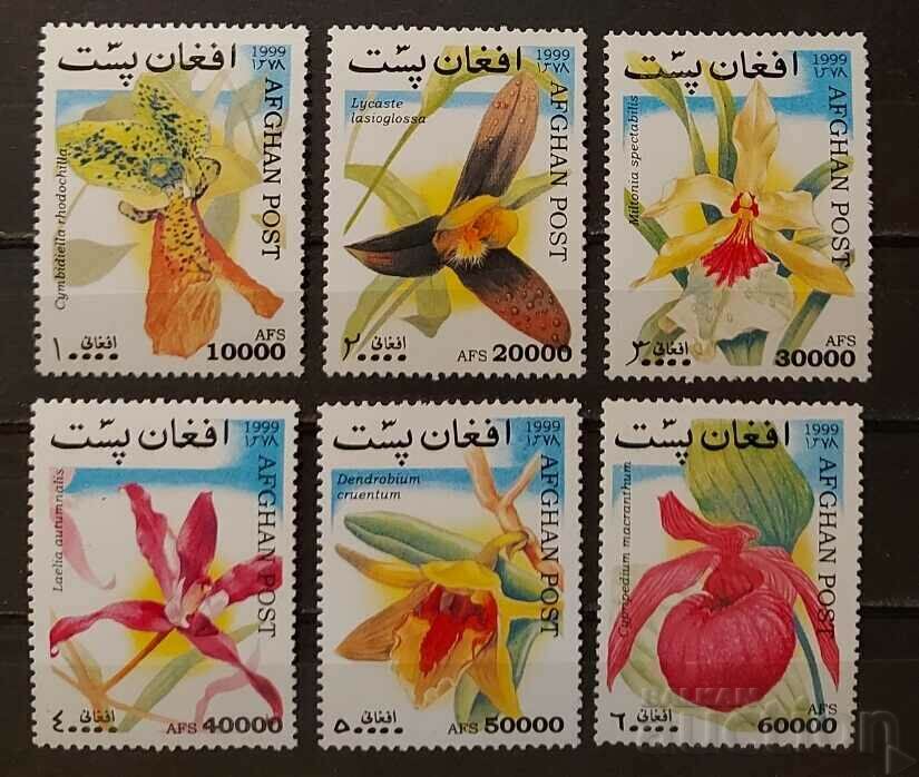 Afghanistan 1999 Flora/Flowers MNH