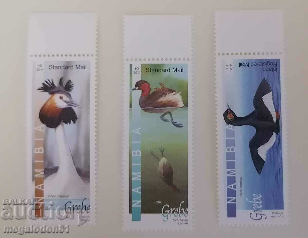 Namibia - fauna păsări de apă