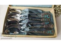 Collection spoons with enamel in a box