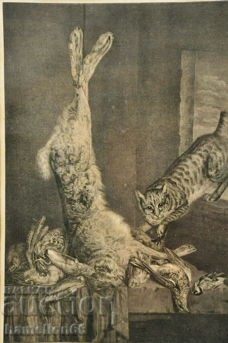 StaraGrafika, Hunting, Cat, passe-partout, frame and glass with price 105.00 BGN | € 53.69