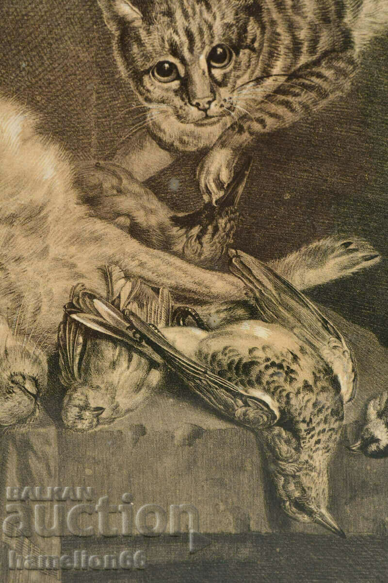 StaraGrafika, Hunting, Cat, passe-partout, frame and glass - 5