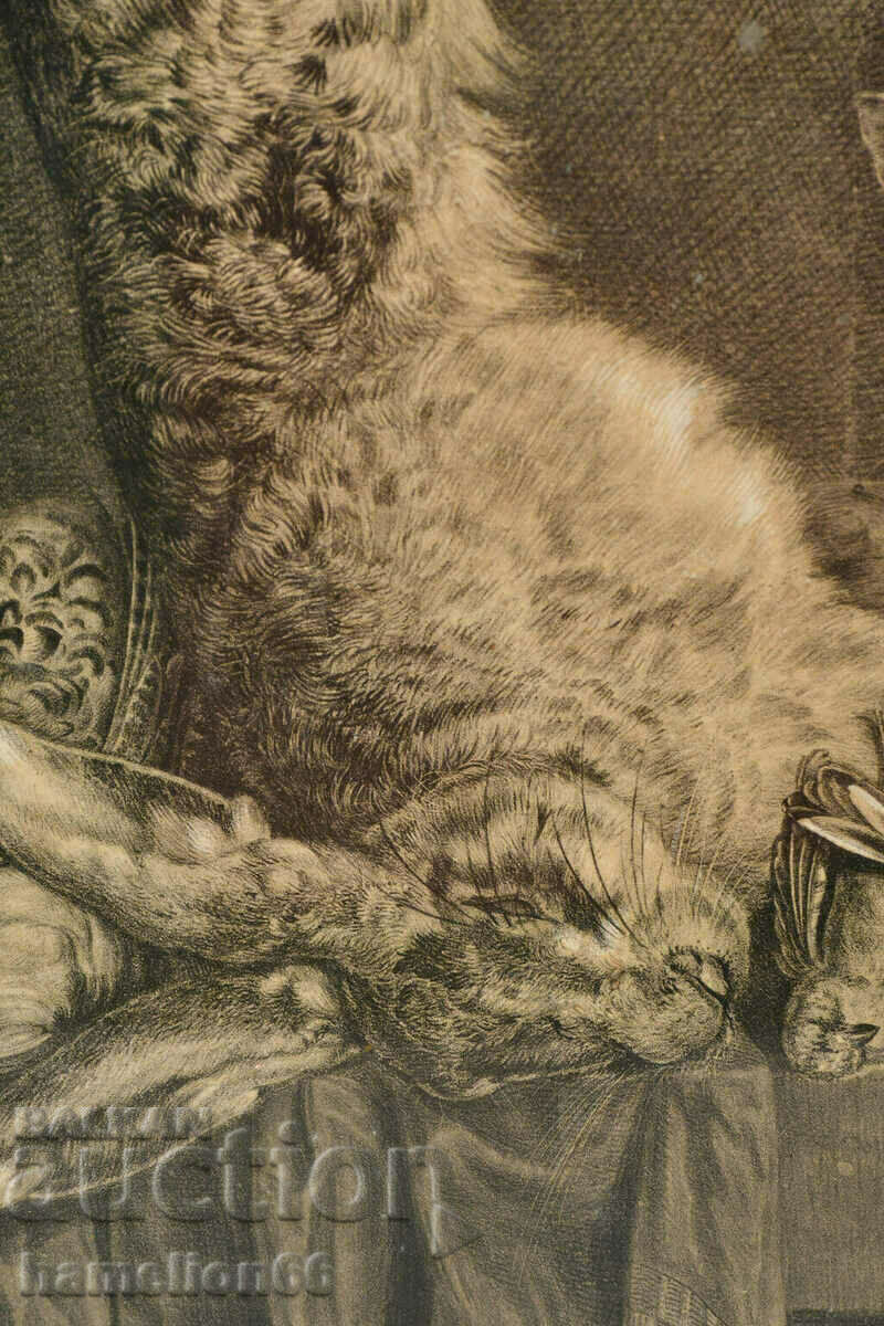 StaraGrafika, Hunting, Cat, passe-partout, frame and glass - 6