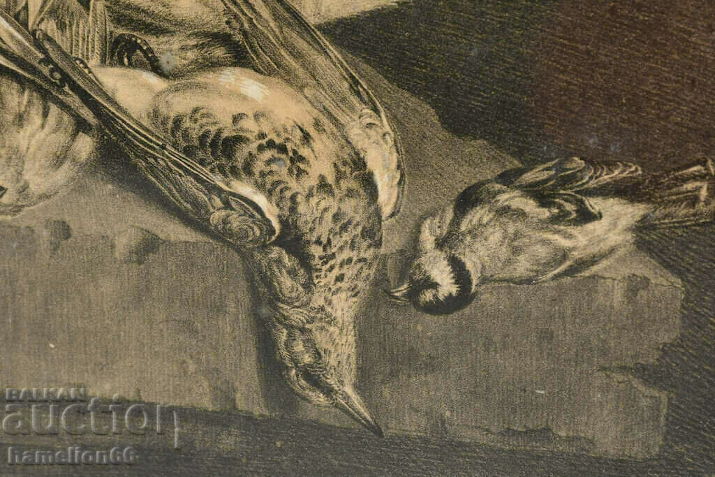 StaraGrafika, Hunting, Cat, passe-partout, frame and glass - 7