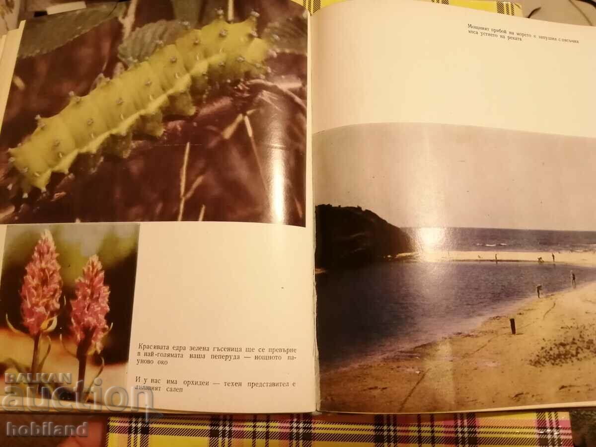 Delivery of Footsteps in the sand Delivery of Footsteps in the sand