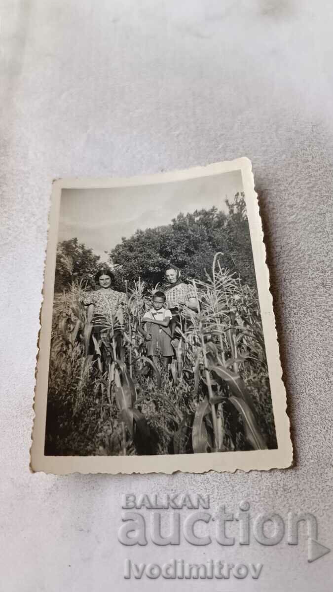 Fotografie Împrejurimi Sopot Două femei și un băiat într-un câmp de porumb