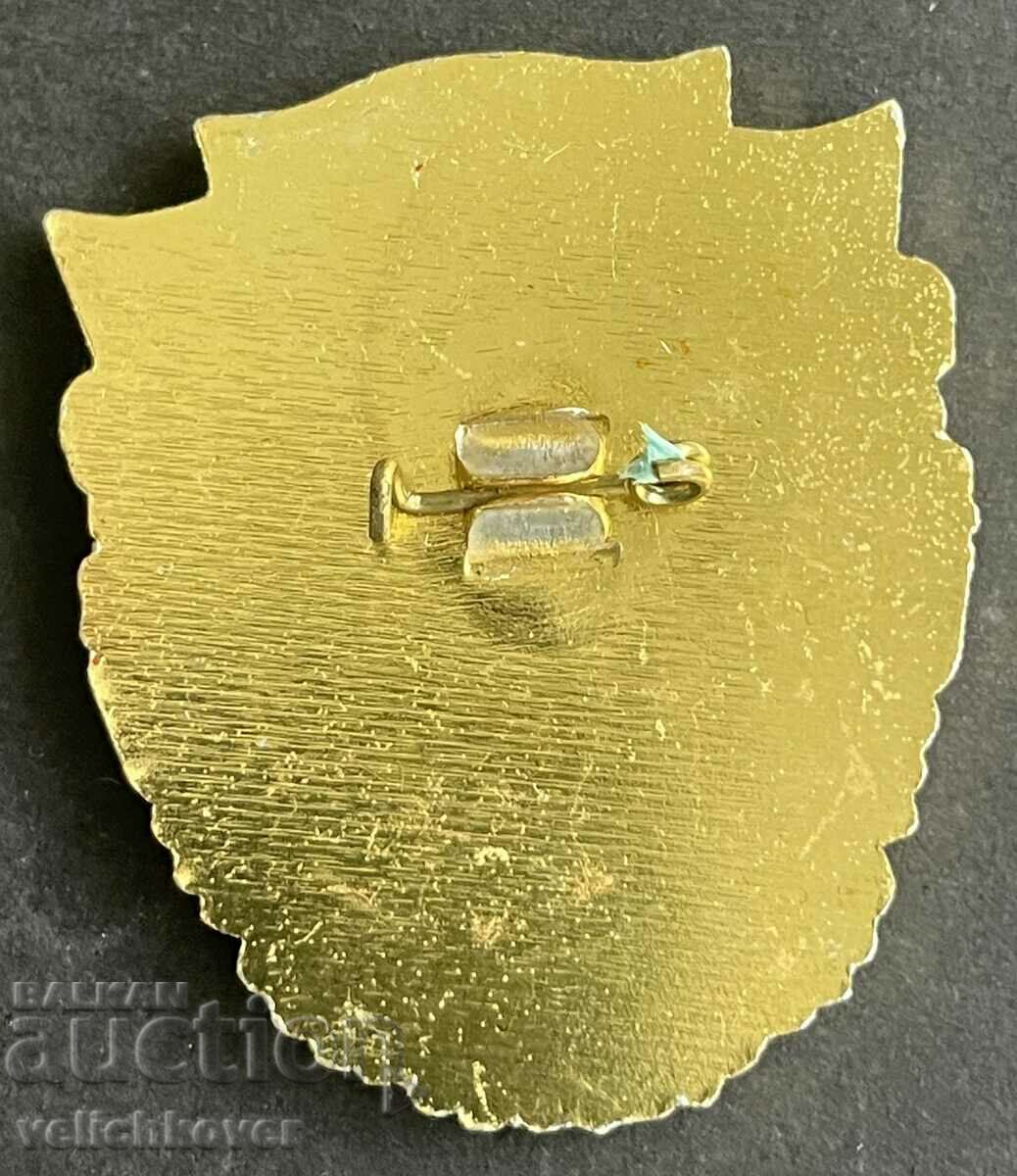 35985 Bulgaria sign Champion Youth Courage NTP with price 3.00 BGN | € 1.53