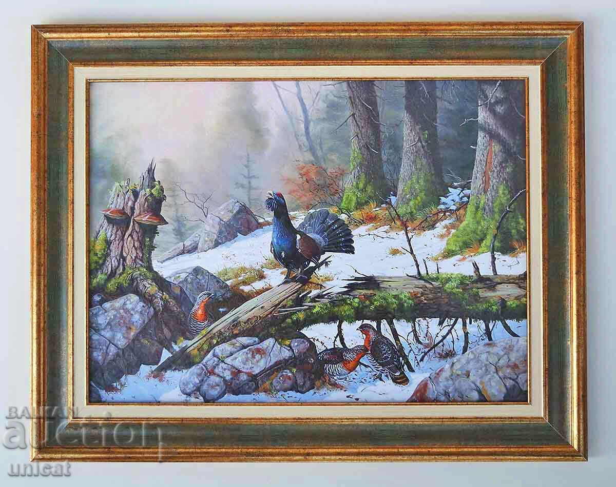 Πετεινός, εικόνα για κυνηγούς Πετεινός, εικόνα για κυνηγούς