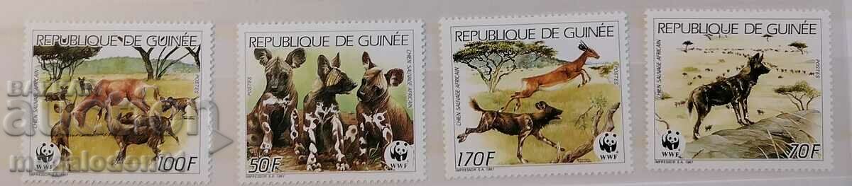 Guinea - fauna WWF, hyena dogs