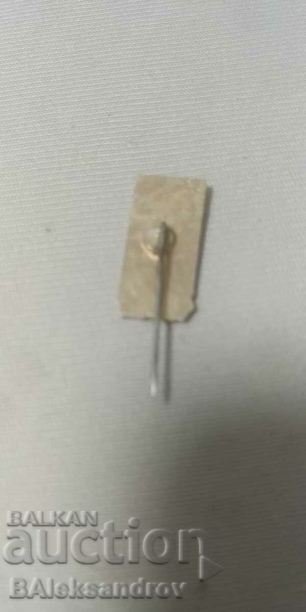 Auction Badge HRISTO BOTEV Auction Badge HRISTO BOTEV