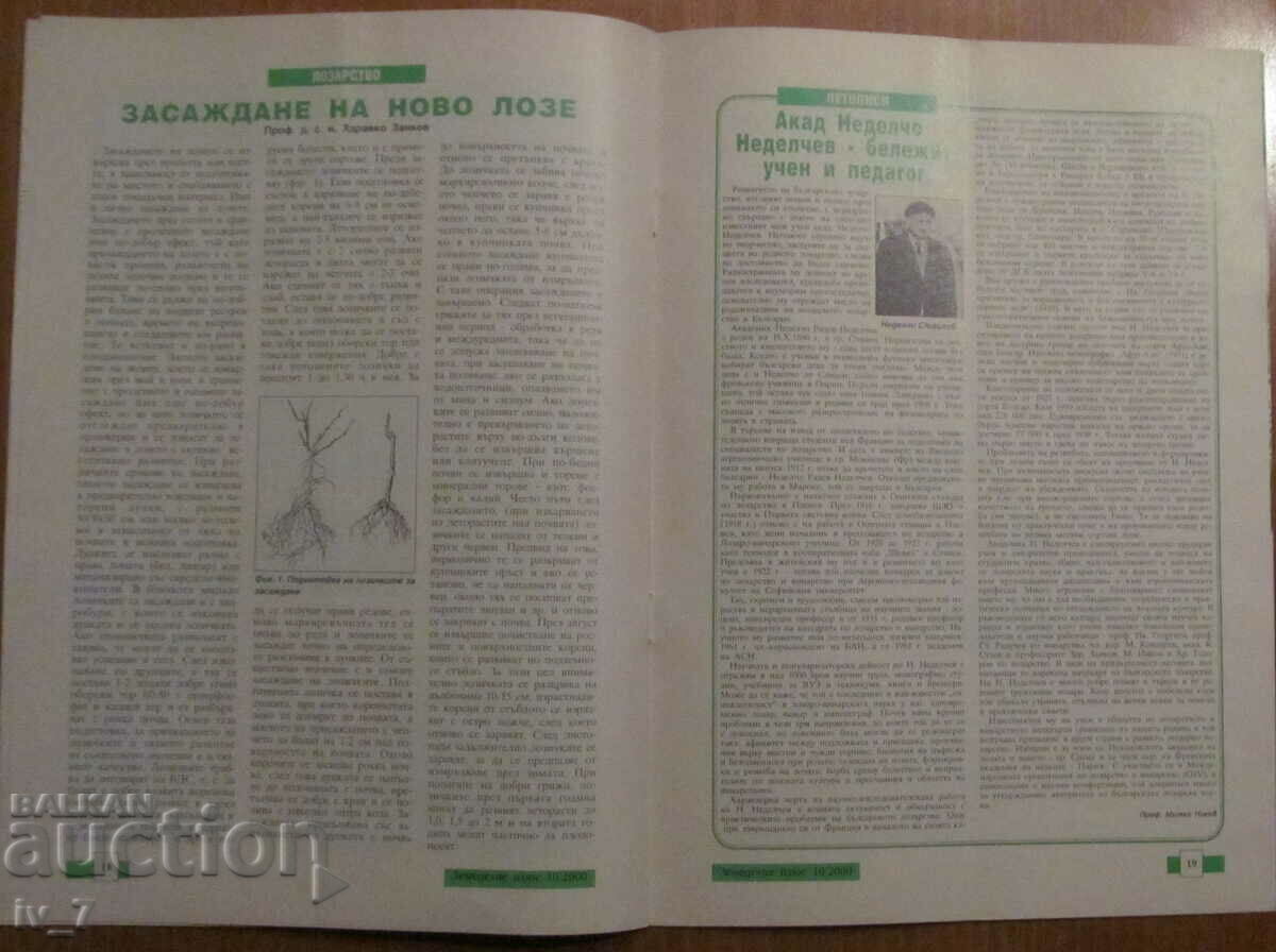 REVISTA „AGRICULTURA” - NUMĂRUL 10, 2000 - 5