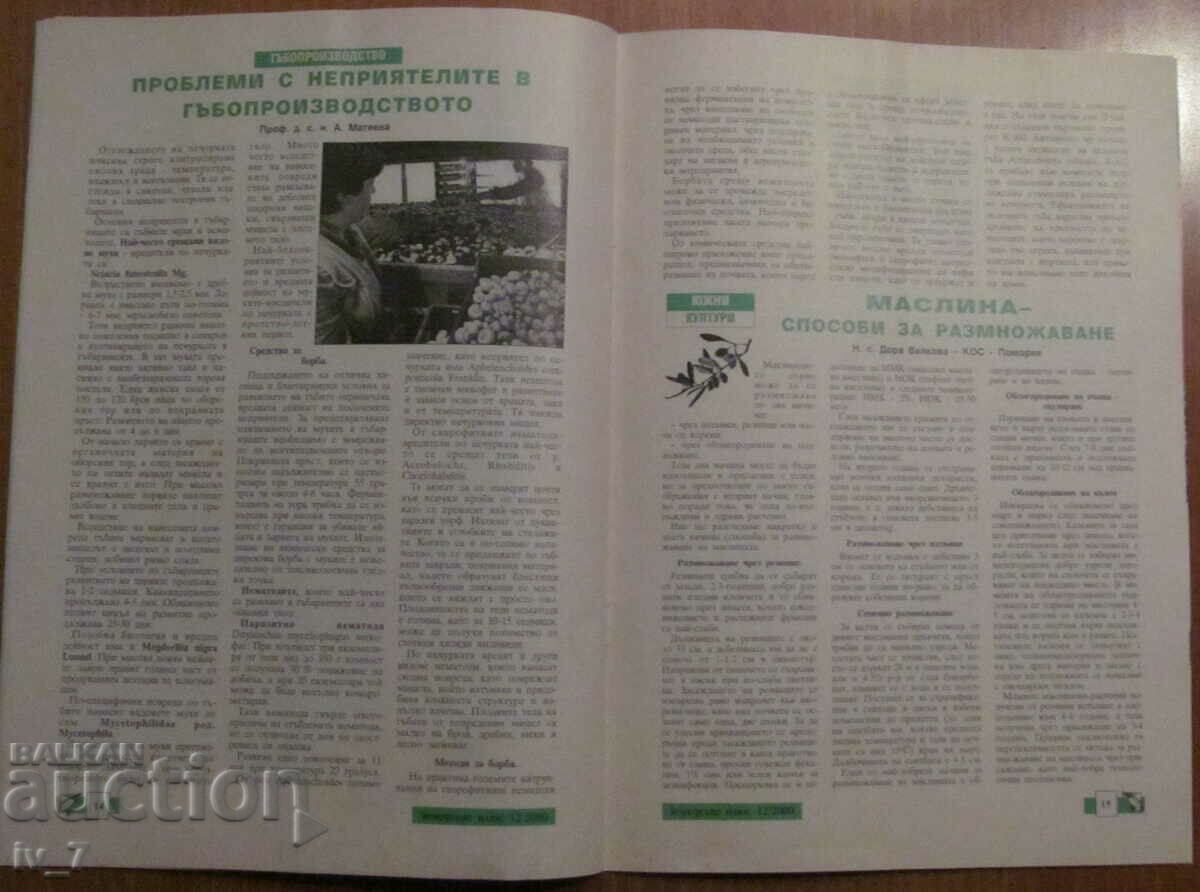 ΠΕΡΙΟΔΙΚΟ "ΓΕΩΡΓΙΑ" - ΤΕΥΧΟΣ 12, 2000 - 5