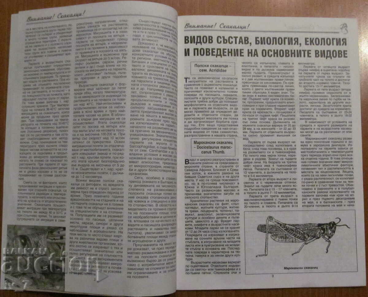 Licitație REVISTA - ATENȚIE! LĂCUSTELE!