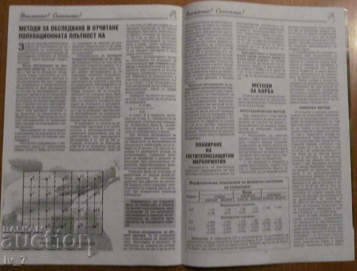REVISTA - ATENȚIE! LĂCUSTELE! - 6
