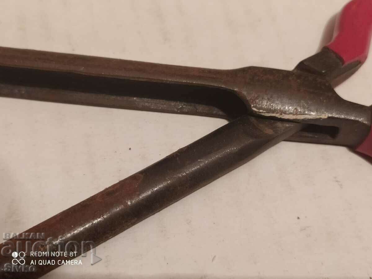 Delivery of Masha old original Delivery of Masha old original