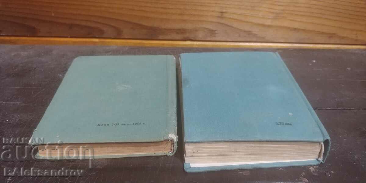 Auction  Lot of dictionaries