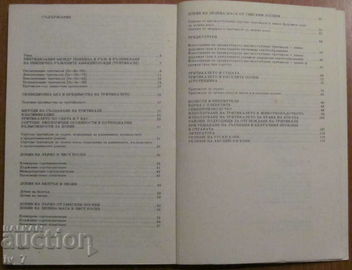 Licitație TRETICALE - STOYAN Cvetkov