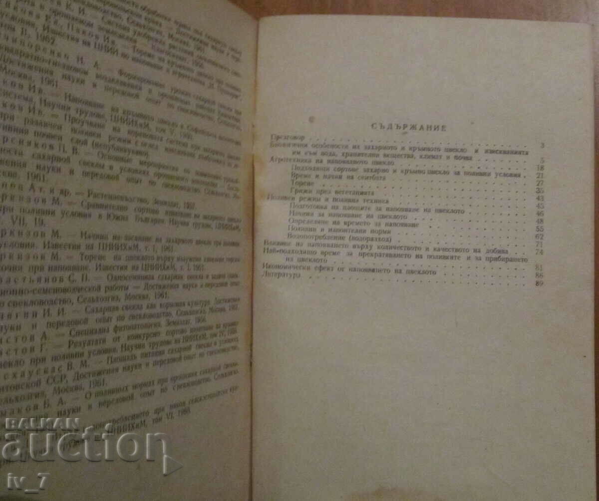 Auction BEET GROWING UNDER IRRIGATION CONDITIONS - R. LAZAROV Auction BEET GROWING UNDER IRRIGATION CONDITIONS - R. LAZAROV