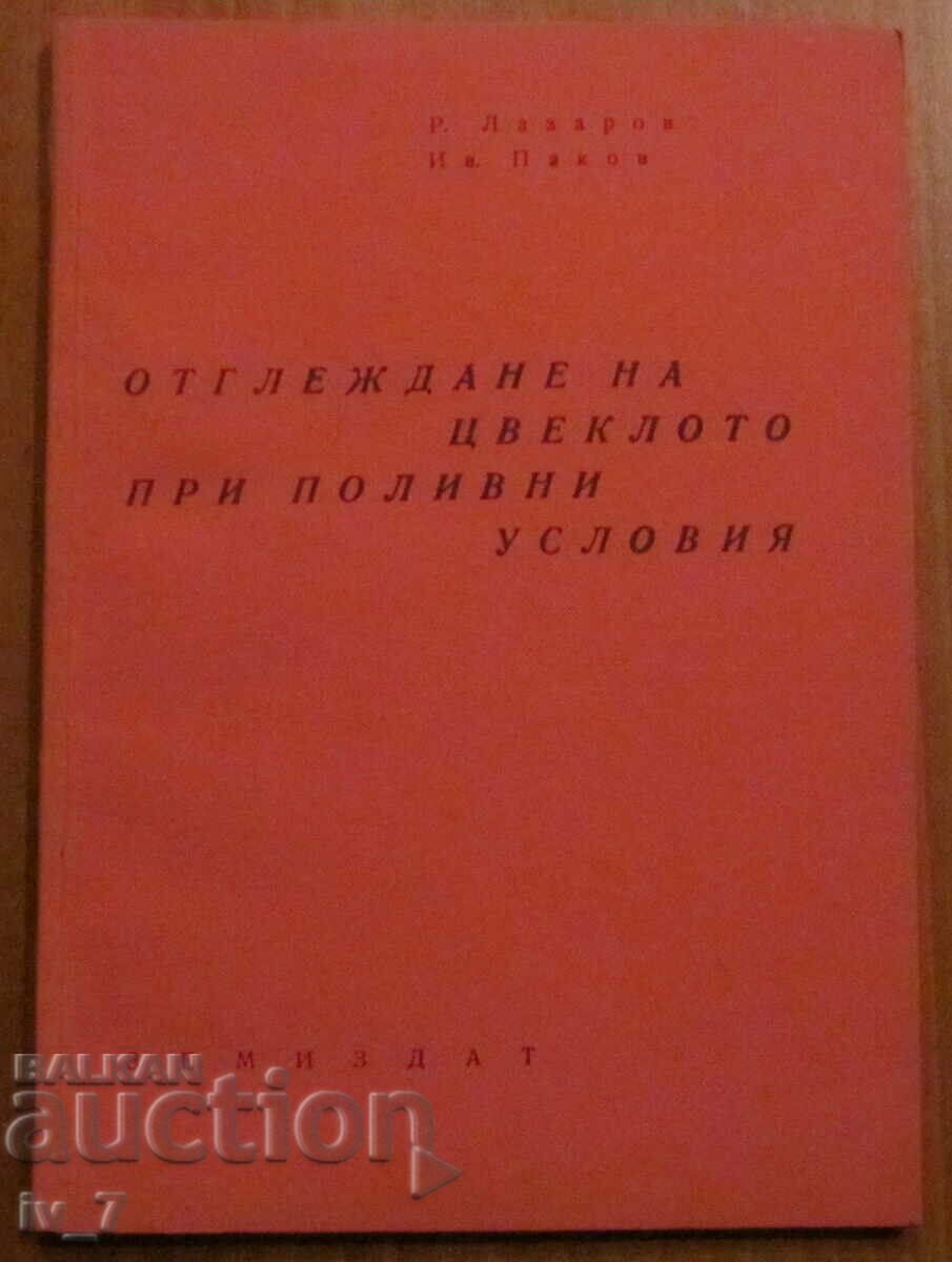 ОТГЛЕЖДАНЕ НА ЦВЕКЛО ПРИ ПОЛИВНИ УСЛОВИЯ - Р.ЛАЗАРОВ ОТГЛЕЖДАНЕ НА ЦВЕКЛО ПРИ ПОЛИВНИ УСЛОВИЯ - Р.ЛАЗАРОВ