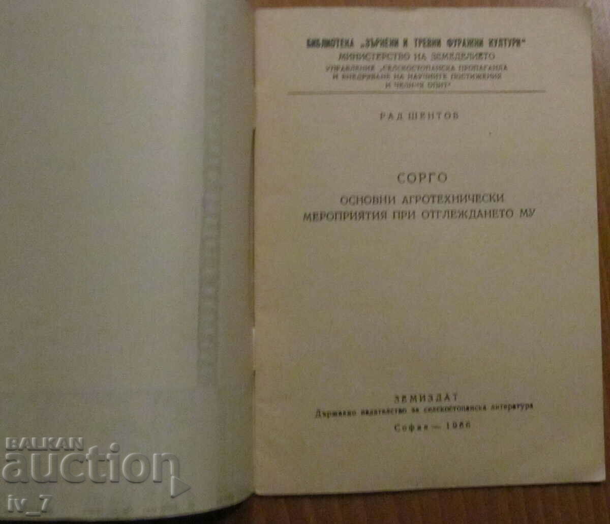 SORGHUM - RAD SHENTOV with price 1.99 BGN | € 1.02 SORGHUM - RAD SHENTOV with price 1.99 BGN | € 1.02