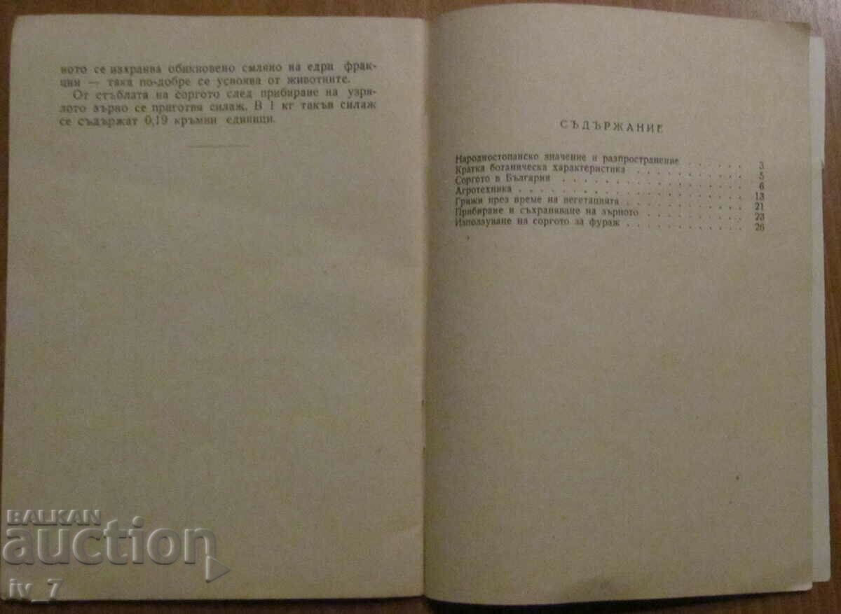 Licitație SORGH - RAD SHENTOV